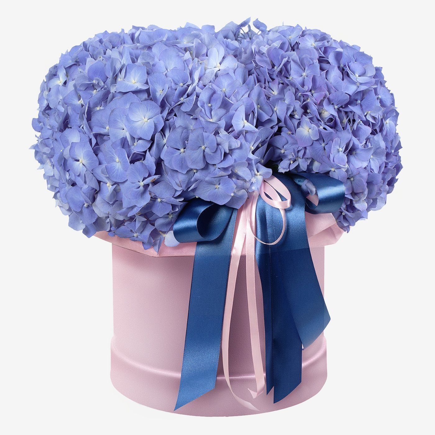 hydrangea-box-expressflowers-ch