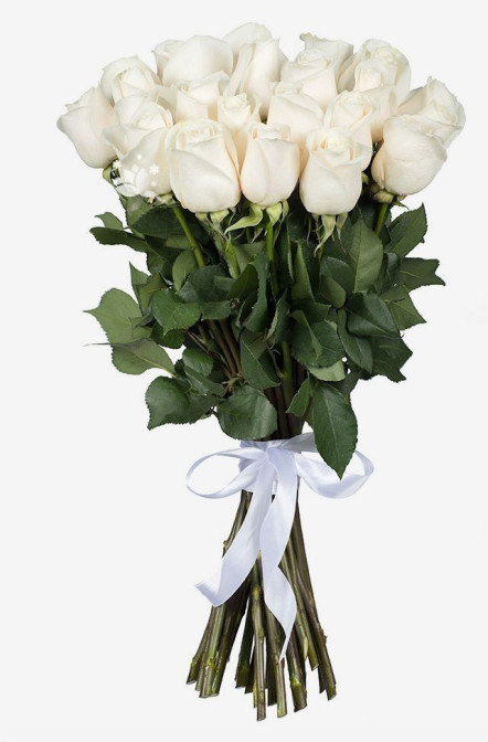 25 White Roses