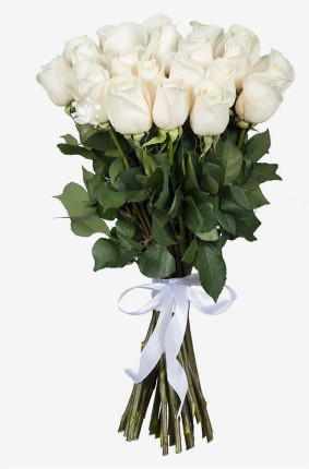 Roses Blanches Image