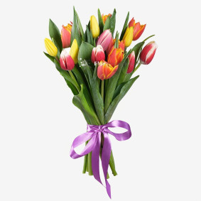 Bouquet de 15 Tulipes Image