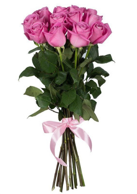 Premium Rosa Rosen Image