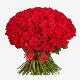 Rote Rosen 150 Stk. Image