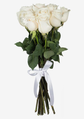 Weisse Rosen 11 Stk.
