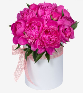 Boîte de Pivoines